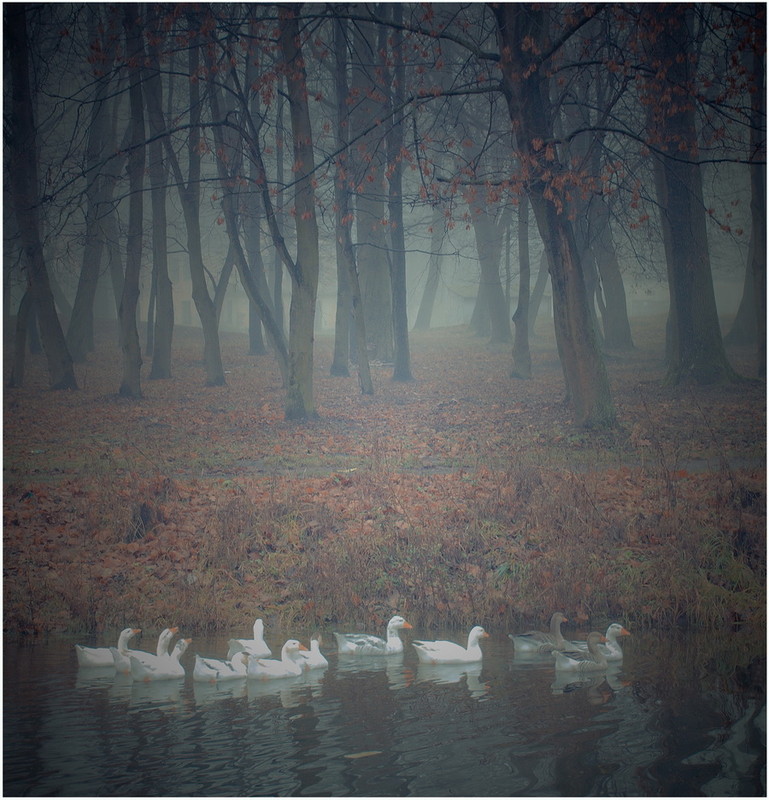 Фотографія Пейзаж / Александр Харланов / photographers.ua