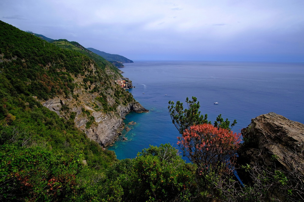 Фотографія Cinque Terre / Александр Харланов / photographers.ua
