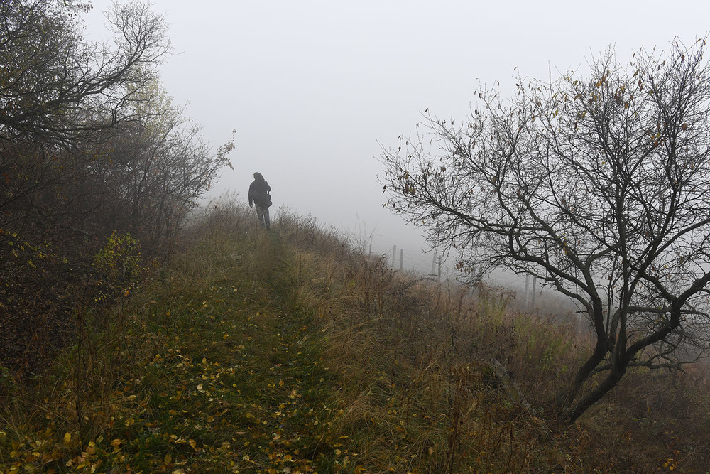 Фотографія Уходящий в туман / D.S. / photographers.ua