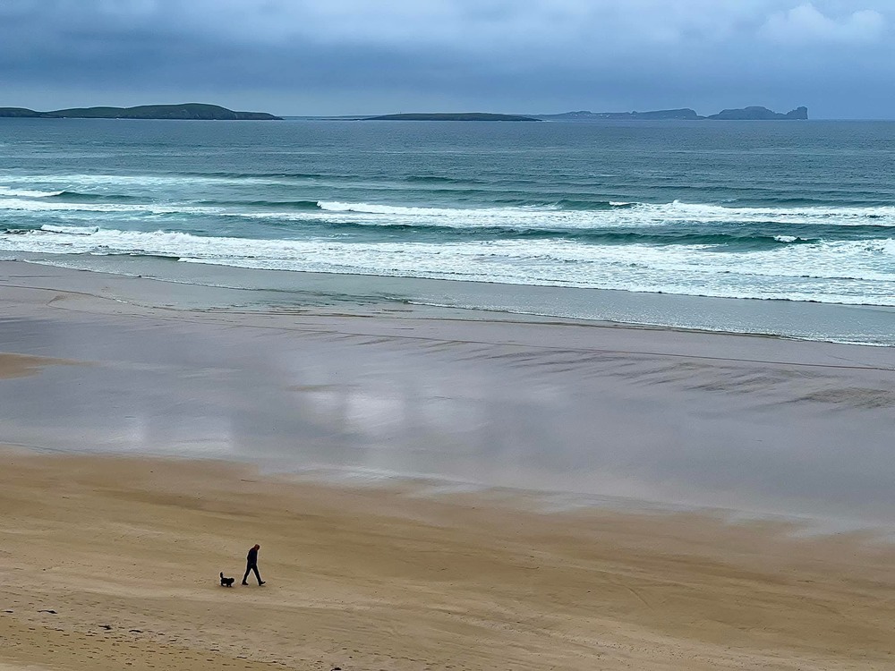 Фотографія A walk with the dog / D.S. / photographers.ua