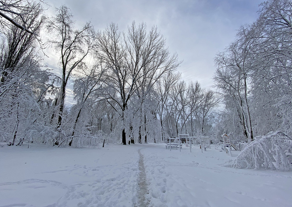 Фотографія Когда выпал снег / D.S. / photographers.ua