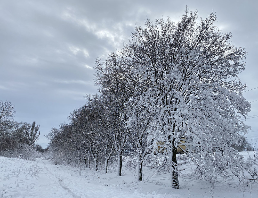 Фотографія В ритме зимы / D.S. / photographers.ua
