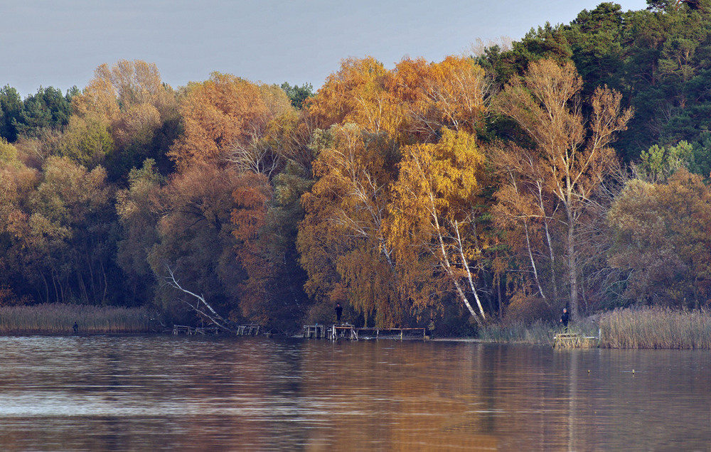 Фотографія Осень на оз. Алмазное / Анна Острянко / photographers.ua