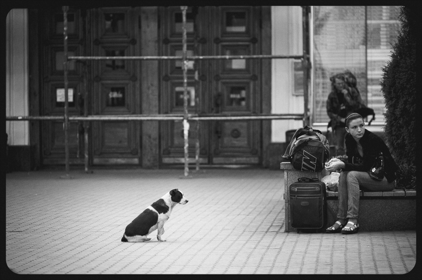 Фотографія Два одиночества / Андрей Миконг / photographers.ua