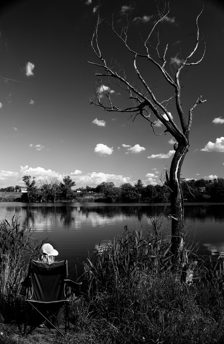 Фотографія Сухое дерево и рыбная ловля под тёмным небом / Андрей Миконг / photographers.ua
