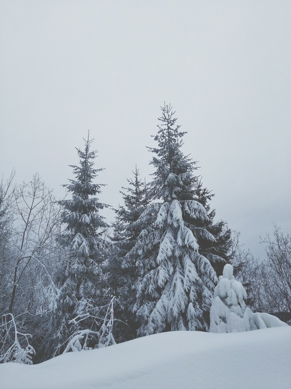 Фотографія шматочок фінської зими / Я Р О С Л А В А / photographers.ua