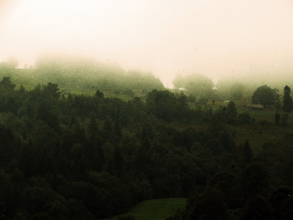 Фотографія десь в тумані тоне ліс... / Я Р О С Л А В А / photographers.ua
