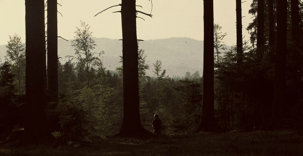 Фотографія .φ...медитація у ліс. / Я Р О С Л А В А / photographers.ua