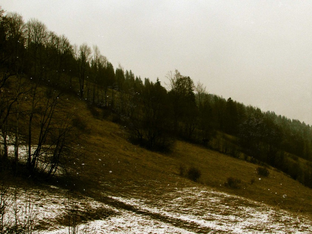 Фотографія .осінь&зима. / Я Р О С Л А В А / photographers.ua
