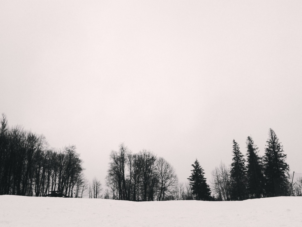 Фотографія snow. / Я Р О С Л А В А / photographers.ua