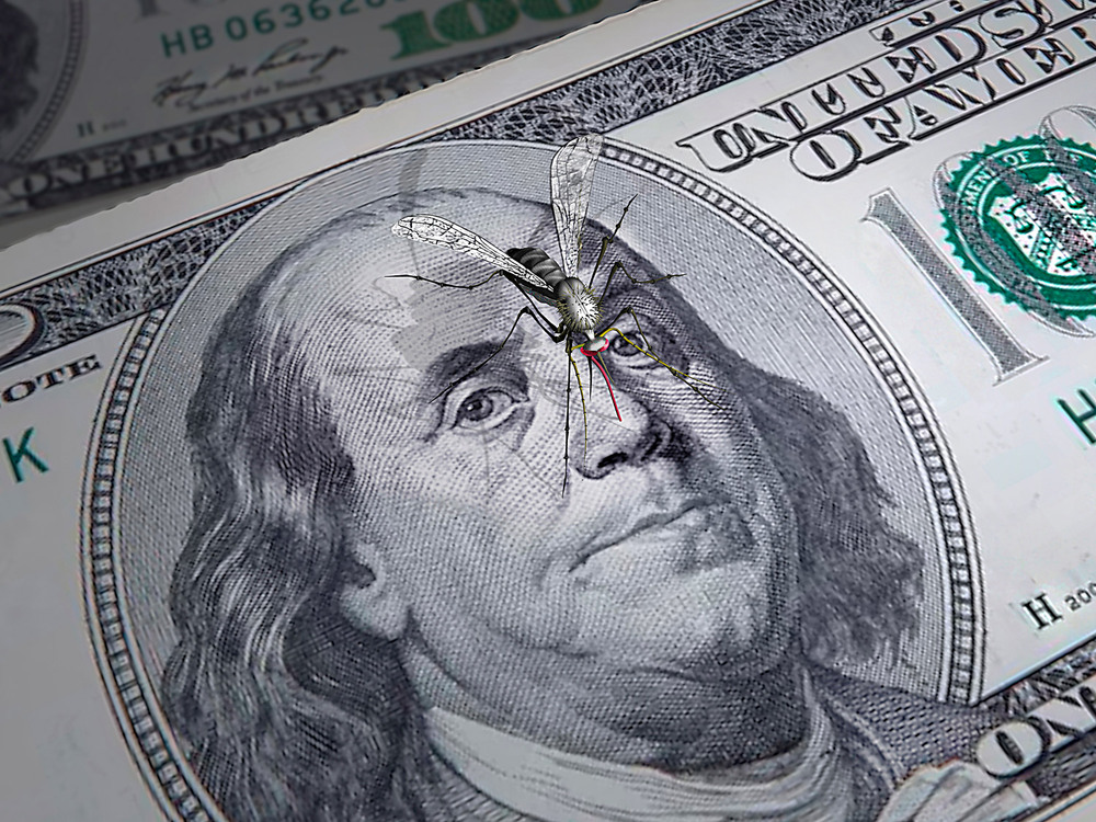 Фотографія АГРЕССОР / Виктор Толошный / photographers.ua