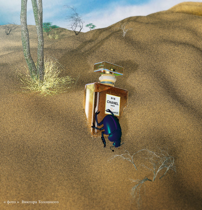 Фотографія ШАНЕЛЬ , он и в Африке ШАНЕЛЬ / Виктор Толошный / photographers.ua