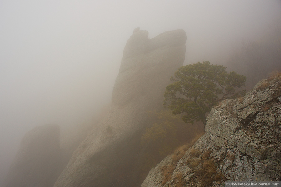 Фотографія скрыто в тумане.. / Никита Журавлев / photographers.ua