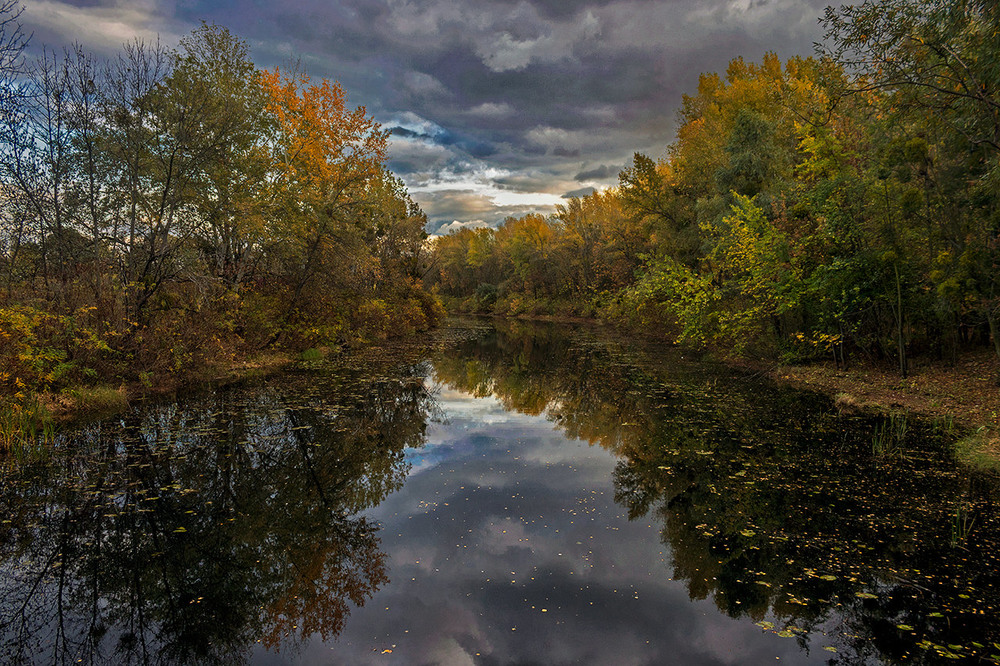 Фотографія Вже в небі осінь повівала / Капля Олександр / photographers.ua