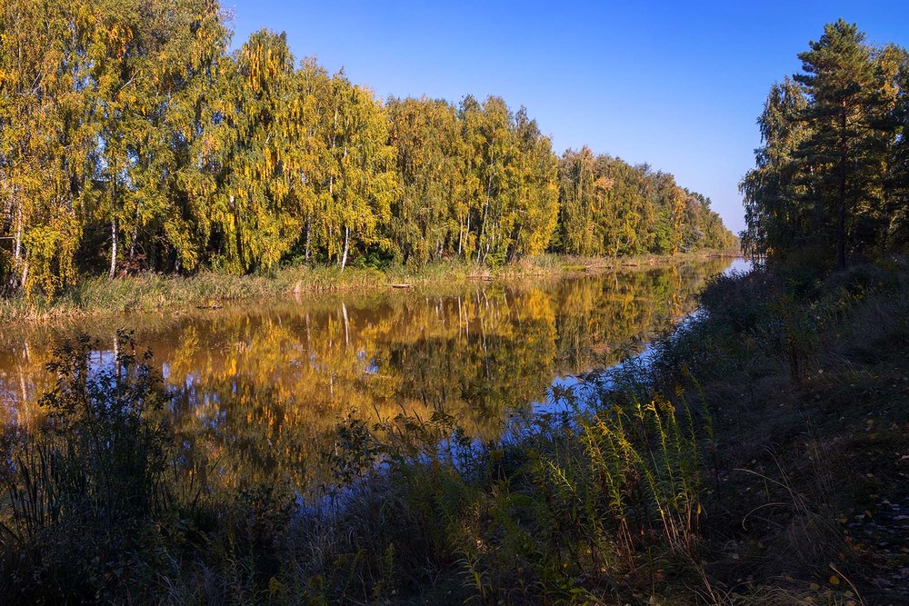 Фотографія Наближення золотої осені / Капля Олександр / photographers.ua