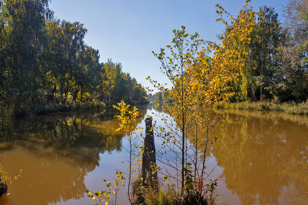 Фотографія Стартує осінь золота на палях старого моста / Капля Олександр / photographers.ua