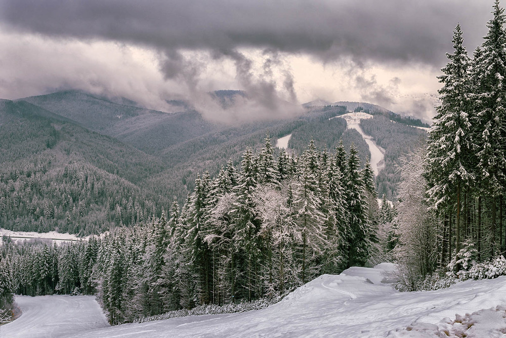 Фотографія Ранок свіжого снігу / Капля Олександр / photographers.ua