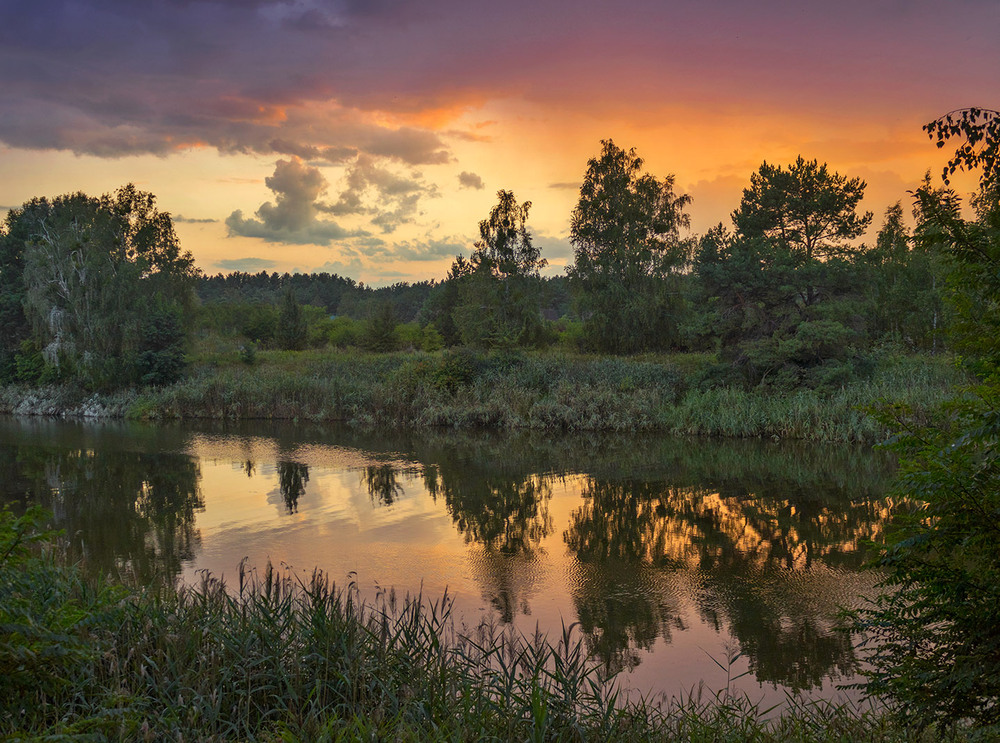 Фотографія Літо догорає / Капля Олександр / photographers.ua