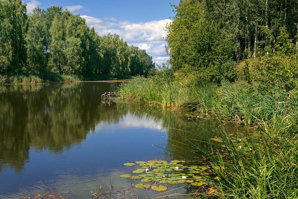 Фотографія У затишку / Капля Олександр / photographers.ua