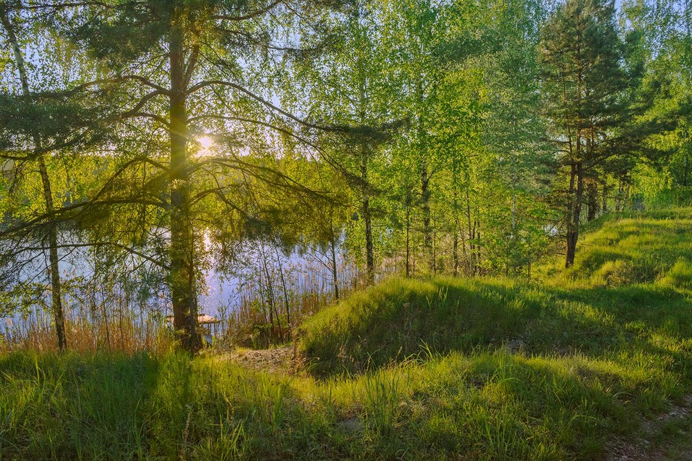 Фотографія Ще весна була у розпалі / Капля Олександр / photographers.ua