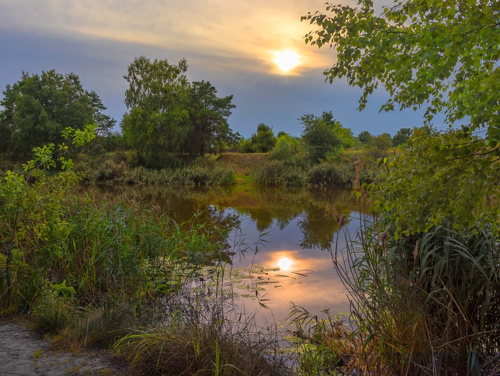 Фотографія У серпні / Капля Олександр / photographers.ua