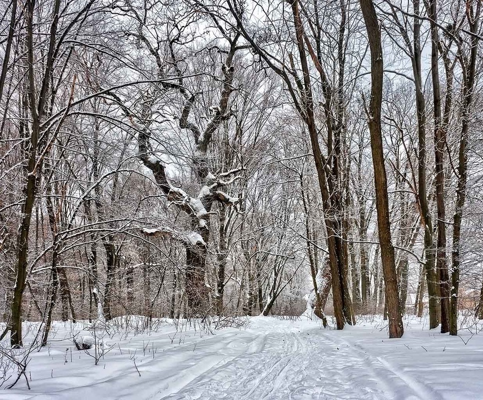 Фотографія Спомин про недавній сніг / Капля Олександр / photographers.ua