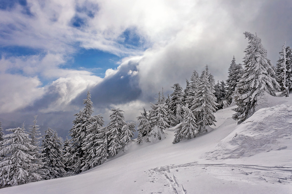 Фотографія Зима в Трансільванських Альпах / Капля Олександр / photographers.ua