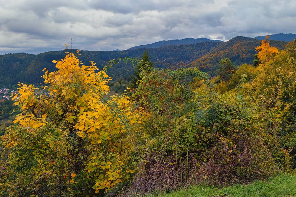 Фотографія Осінь у передгір'ях / Капля Олександр / photographers.ua