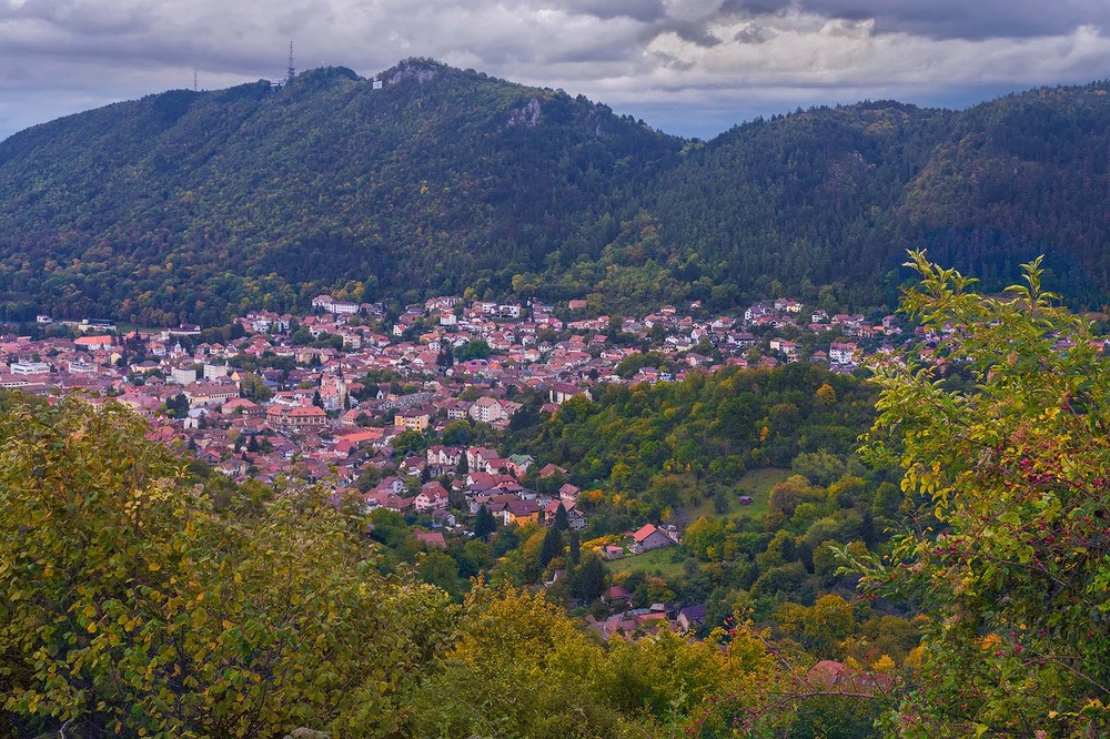 Фотографія У долині за шипшиною / Капля Олександр / photographers.ua