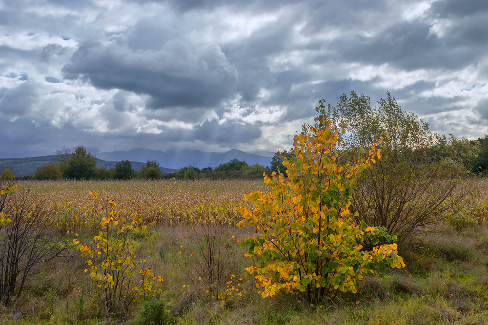 Фотографія Далекі гори / Past the cornfield / Капля Олександр / photographers.ua