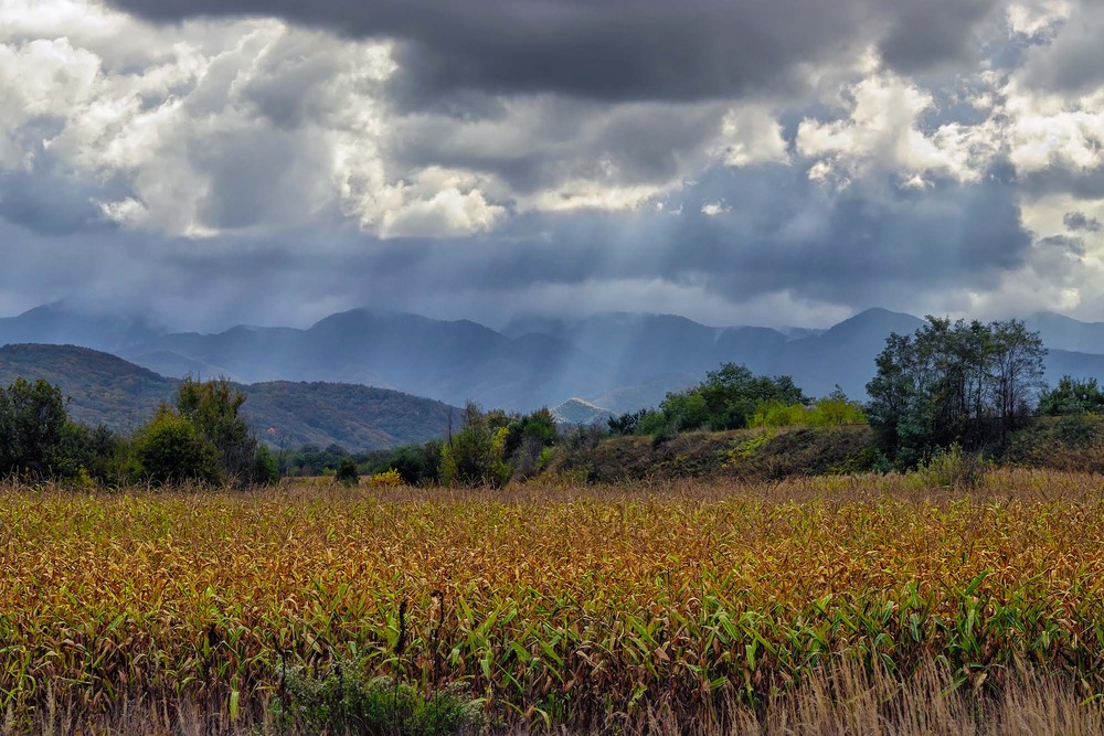 Фотографія Над ланами Трансильванії / Капля Олександр / photographers.ua