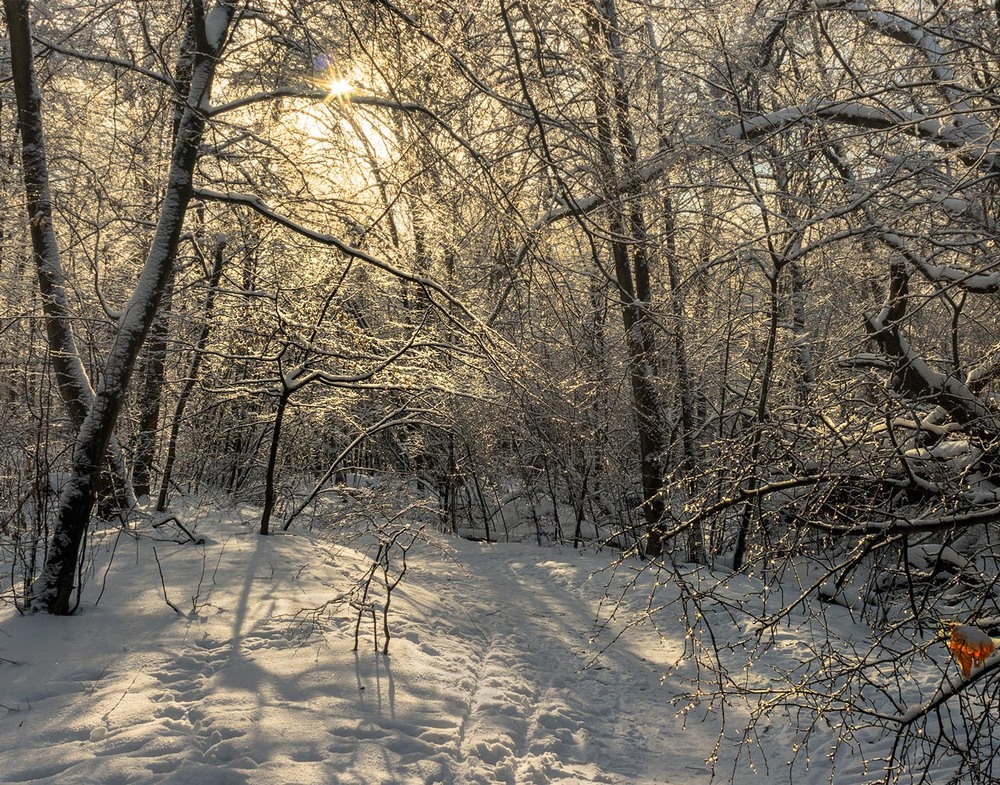 Фотографія Зима наразі у правах / Капля Олександр / photographers.ua