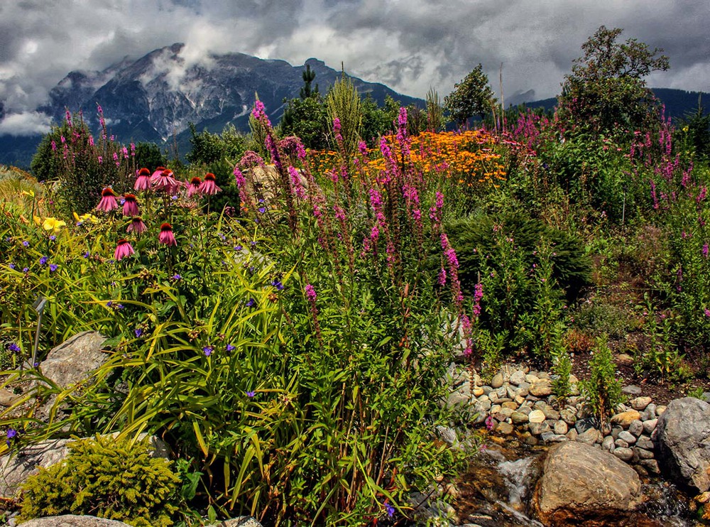 Фотографія Альпийская горка в Альпах / Капля Олександр / photographers.ua