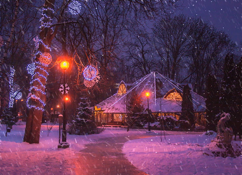 Фотографія Різдвяне / Капля Олександр / photographers.ua