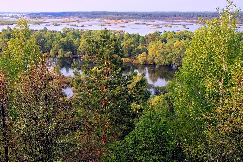 Фотографія Деснянські весняні води / Капля Олександр / photographers.ua