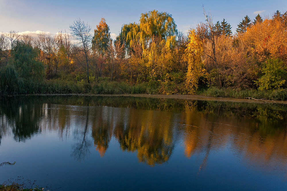 Фотографія Згасання осені і дня / Капля Олександр / photographers.ua