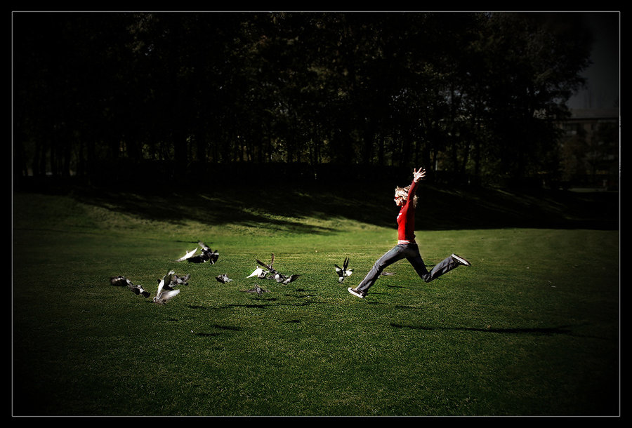 Фотографія Frightened pigeons / Евгений Демченко / photographers.ua