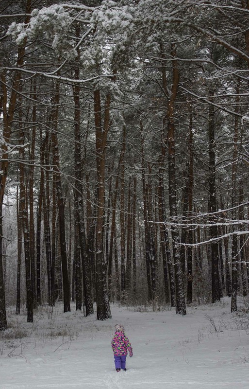 Фотографія Зима. Ліс. Січень 2022 / Иннуська Цесарук / photographers.ua