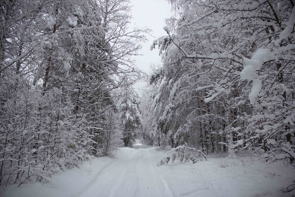 Фотографія зима / Иннуська Цесарук / photographers.ua