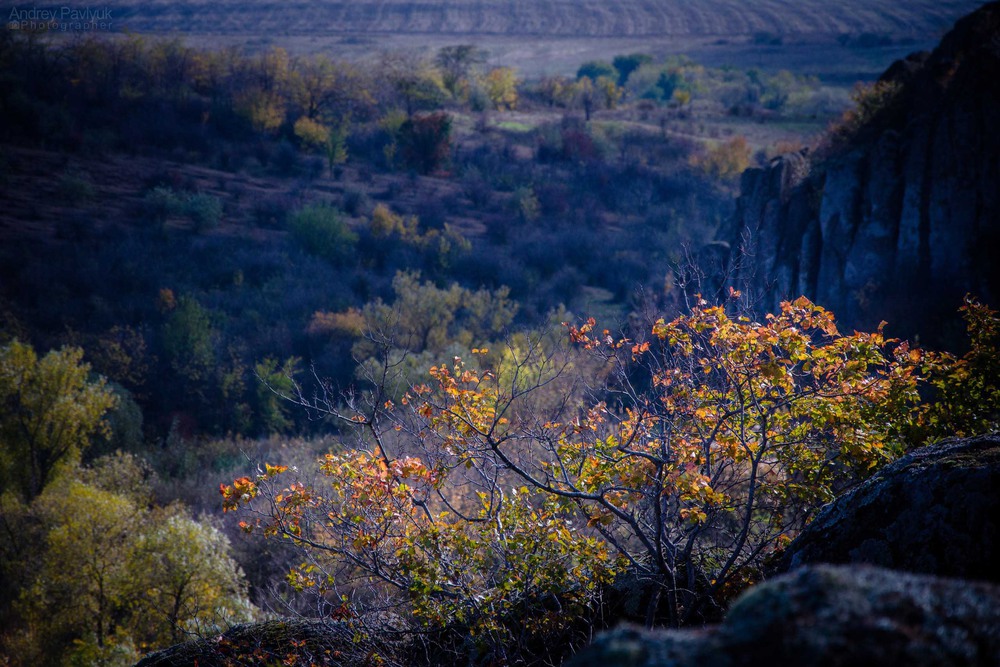 Фотографія Актовский каньон / Андрей Павлюк / photographers.ua