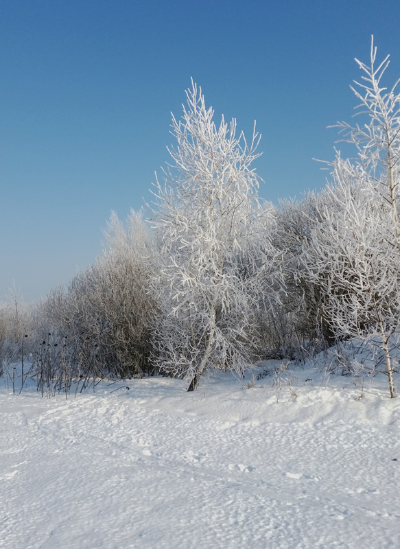 Фотографія Омріяна зима. Архів / Настя Попова / photographers.ua