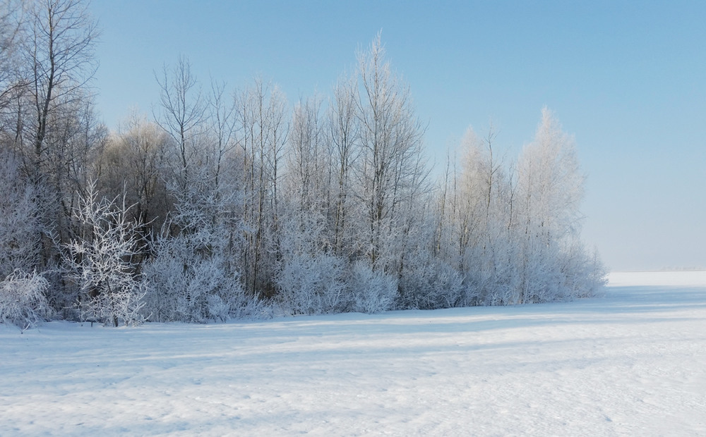 Фотографія Омріяна зима. Архів 2 / Настя Попова / photographers.ua