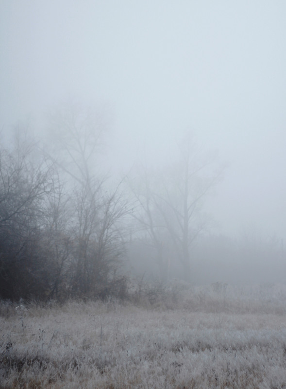 Фотографія "Туман рассеивается, а цель еще не видна.." / Настя Попова / photographers.ua