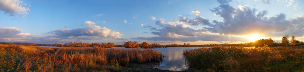 Фотографія Осенний пруд... / Прощенко Оксана / photographers.ua