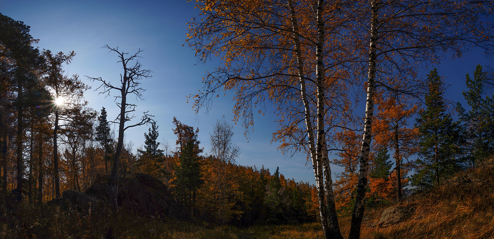 Фотографія Рисует осень сказку грусти... / Прощенко Оксана / photographers.ua