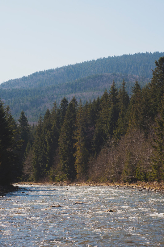 Фотографія Ґорґани. / Vitalii Petrovich / photographers.ua
