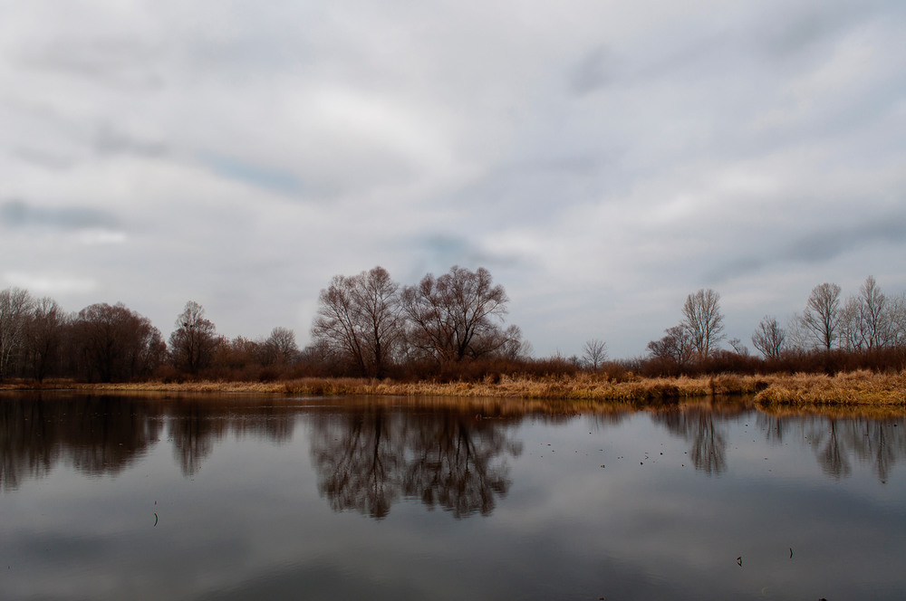 Фотографія Одного разу на озері... / Vitalii Petrovich / photographers.ua