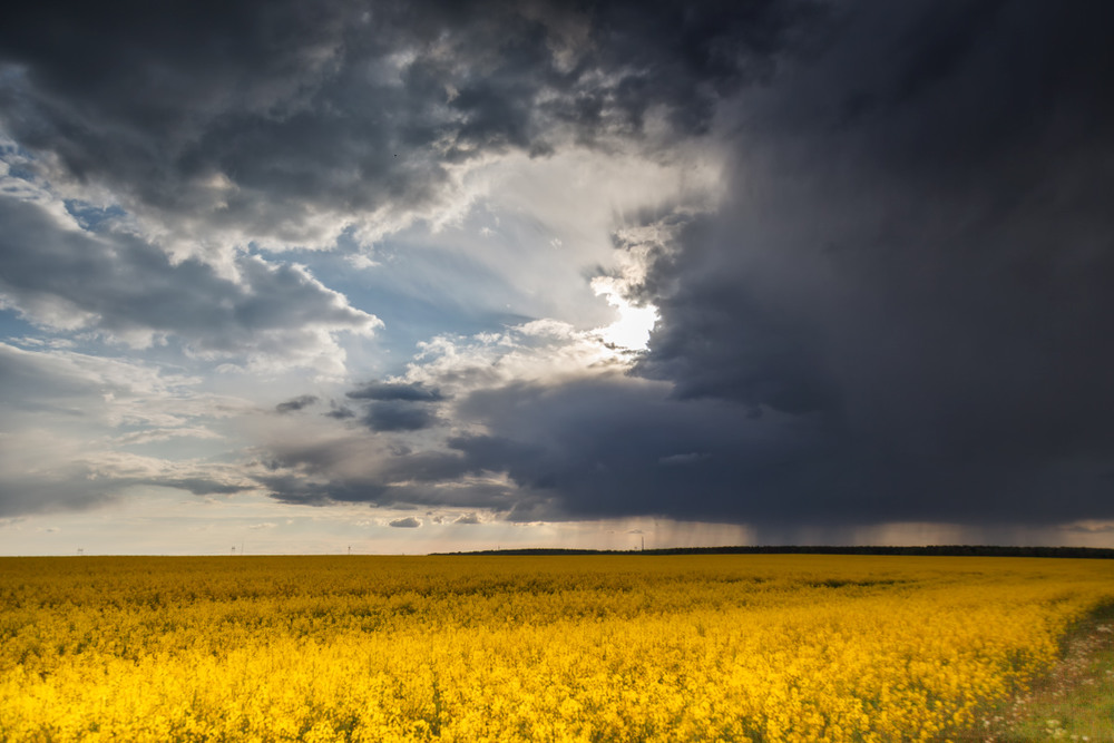 Фотографія Люблю грозу в начале мая! / Айвар Удрис / photographers.ua