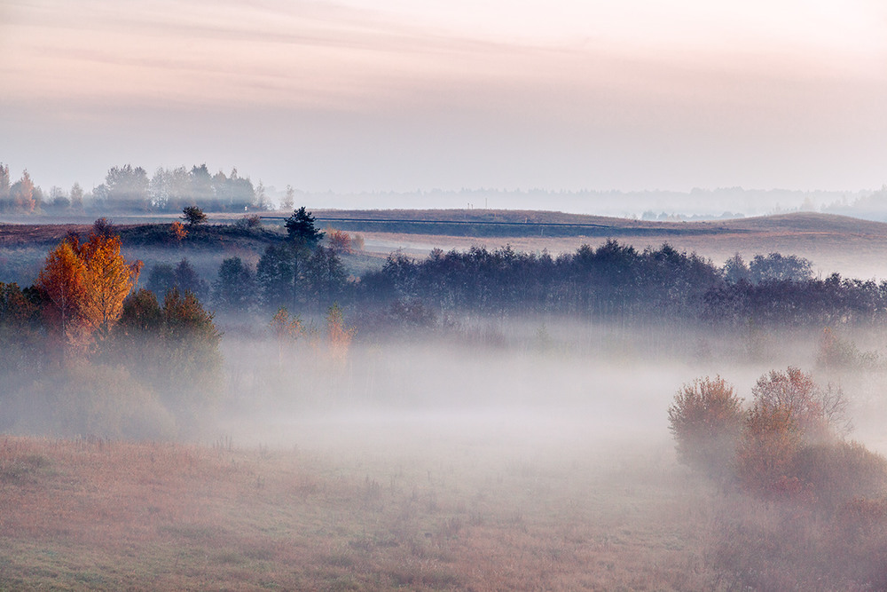Фотографія Осеннее туманное утро... / Айвар Удрис / photographers.ua