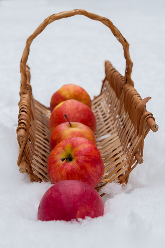 Фотографія Basket of apples / Татьяна Олександрович / photographers.ua